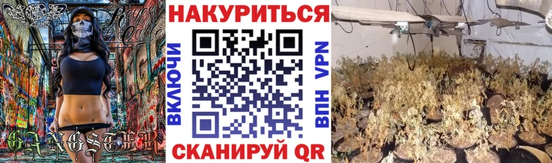блэк спрут tor  Нытва  Бошки Шишки сатива 